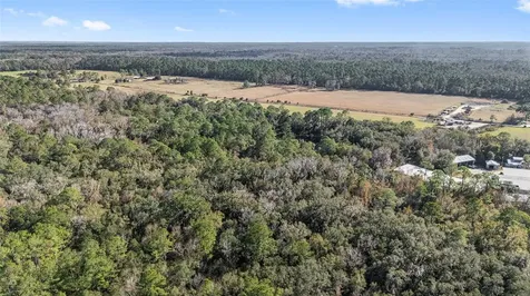 102 SW 109th Place Micanopy FL 32667