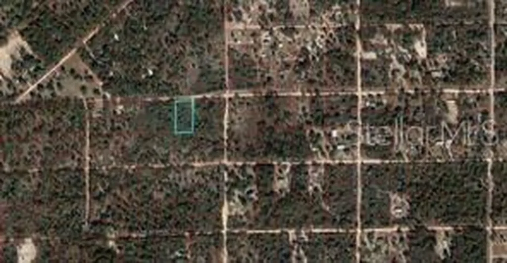 Tbd NE 90th Street Bronson FL 32621