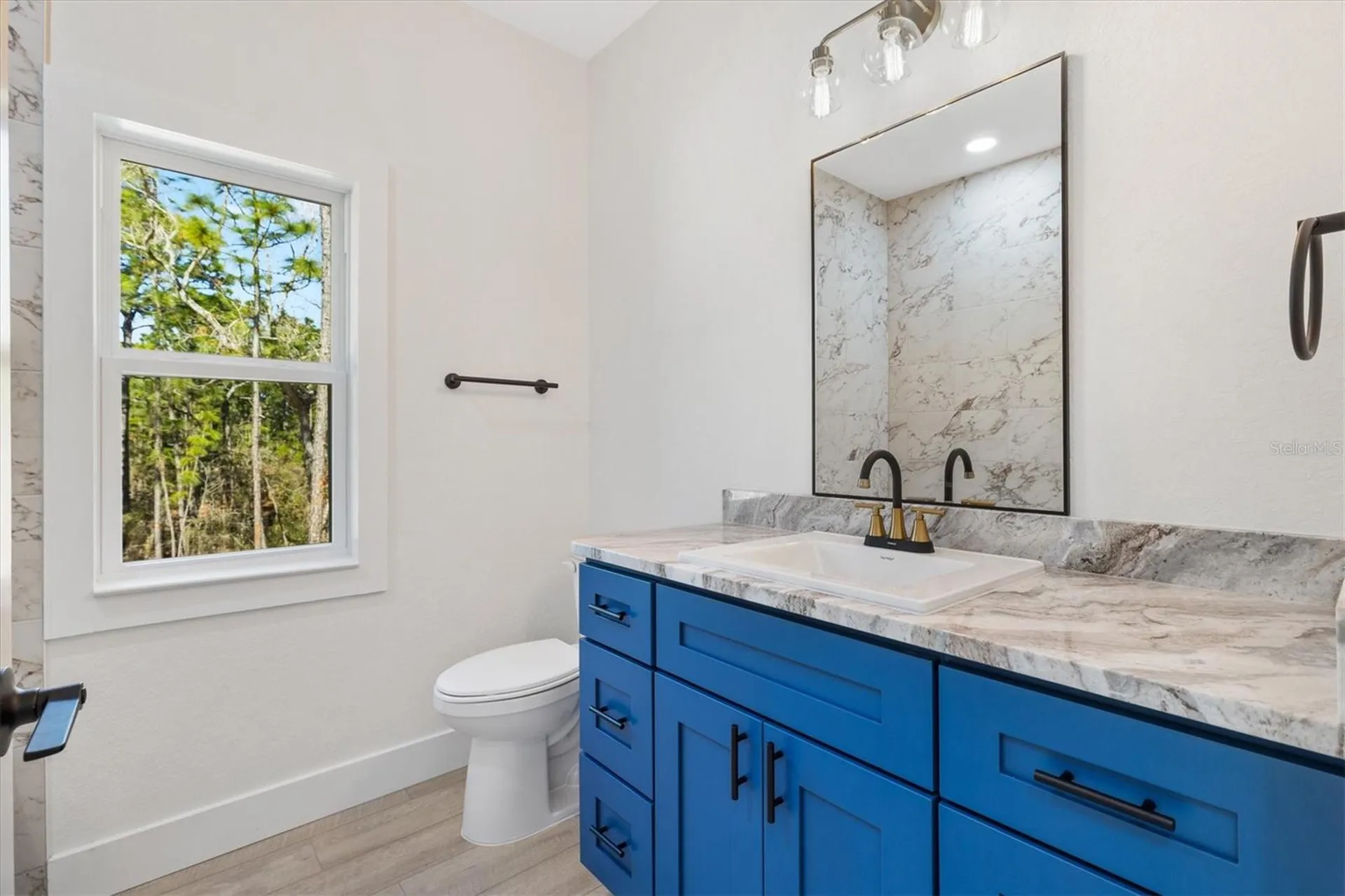 8506 County Road 243 Wildwood FL 34785