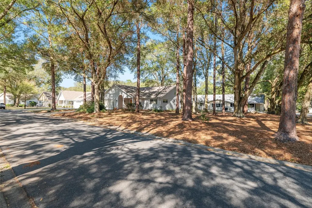 8711 SW 92nd Place Ocala FL 34481