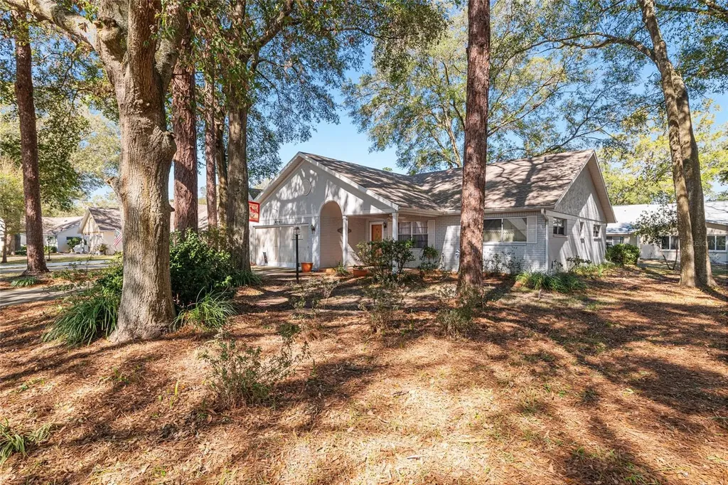8711 SW 92nd Place Ocala FL 34481