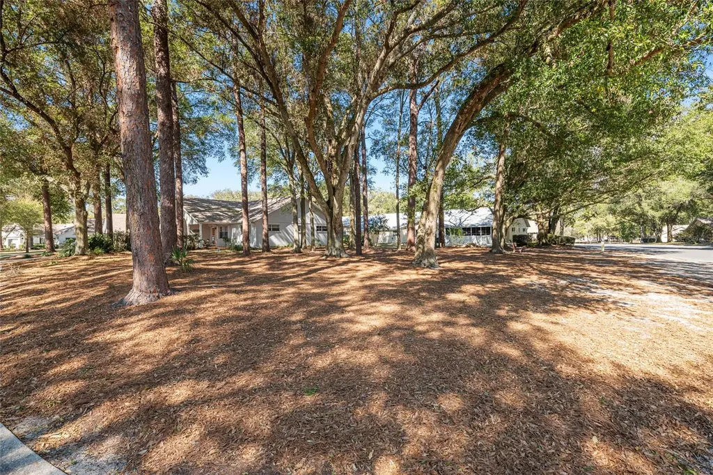 8711 SW 92nd Place Ocala FL 34481