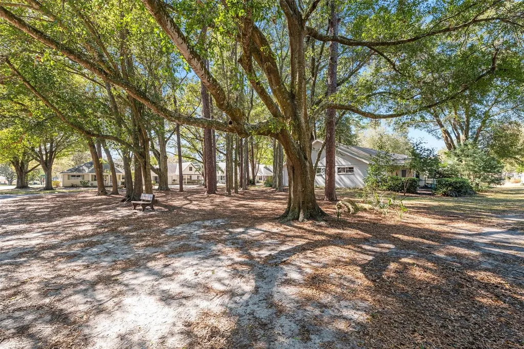 8711 SW 92nd Place Ocala FL 34481