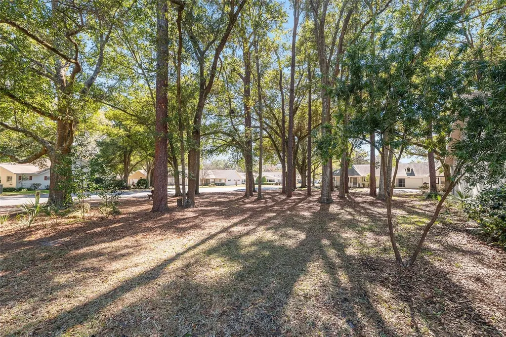 8711 SW 92nd Place Ocala FL 34481