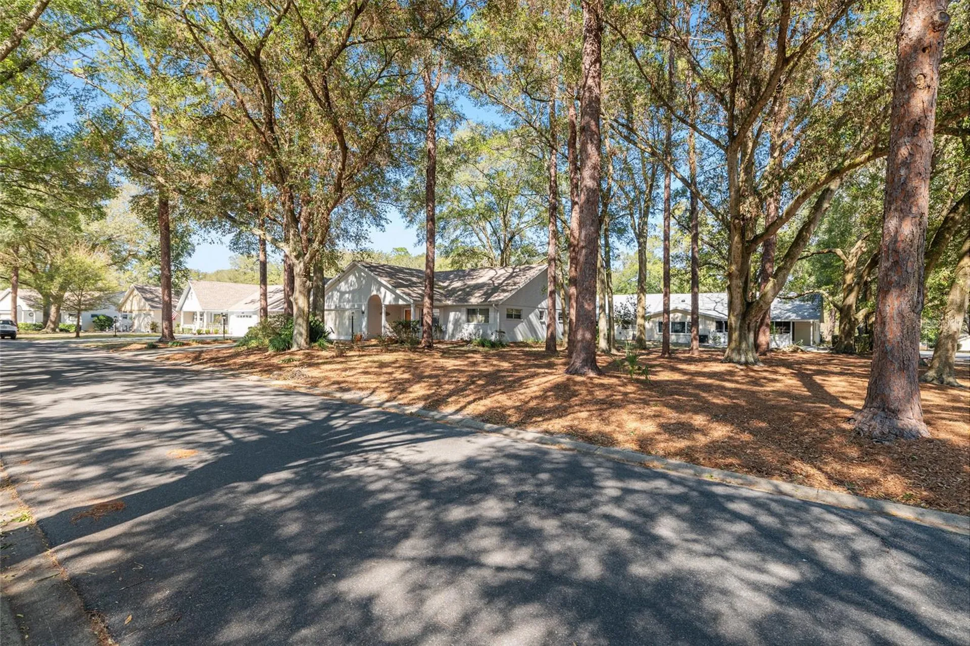 8711 SW 92nd Place Ocala FL 34481