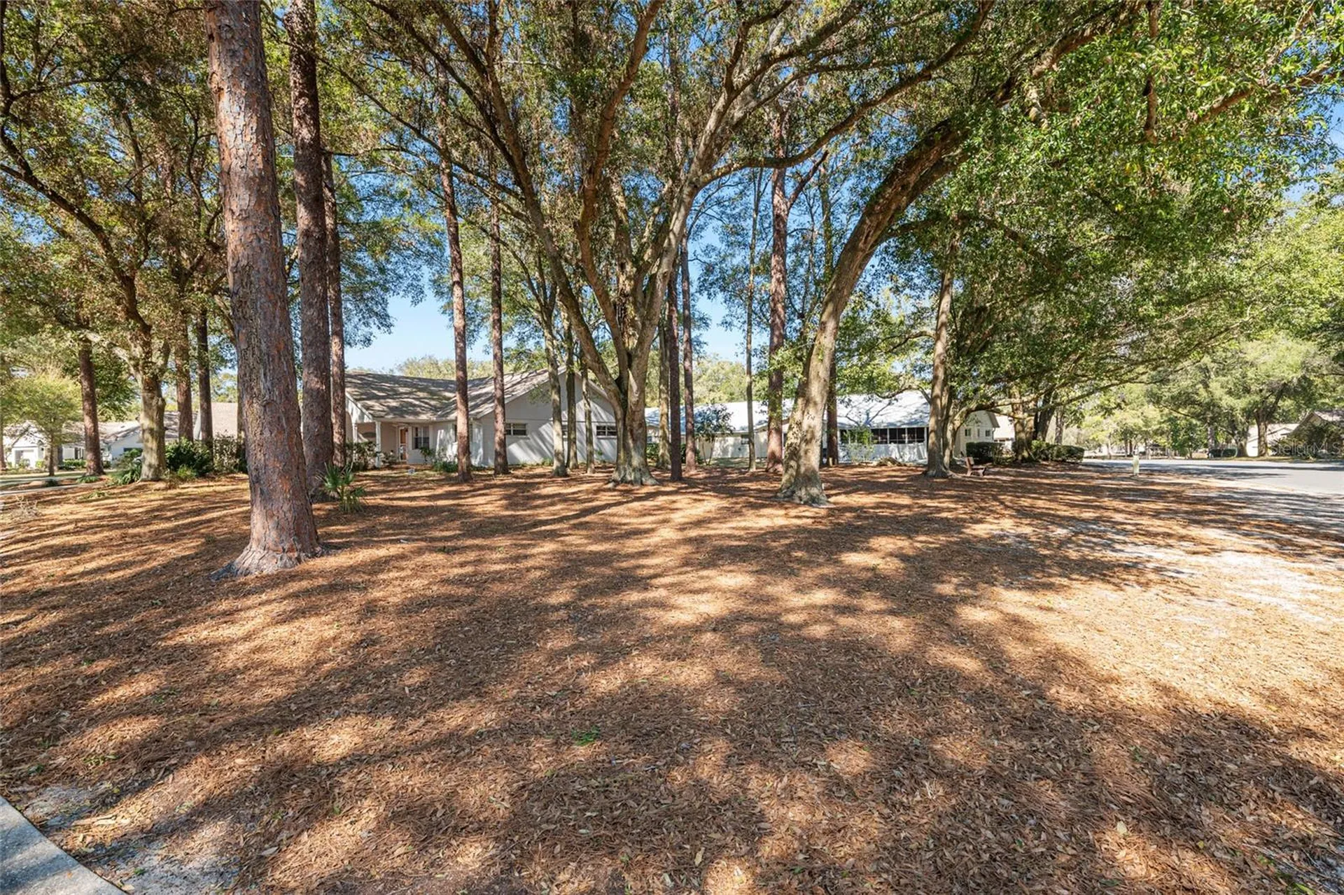 8711 SW 92nd Place Ocala FL 34481