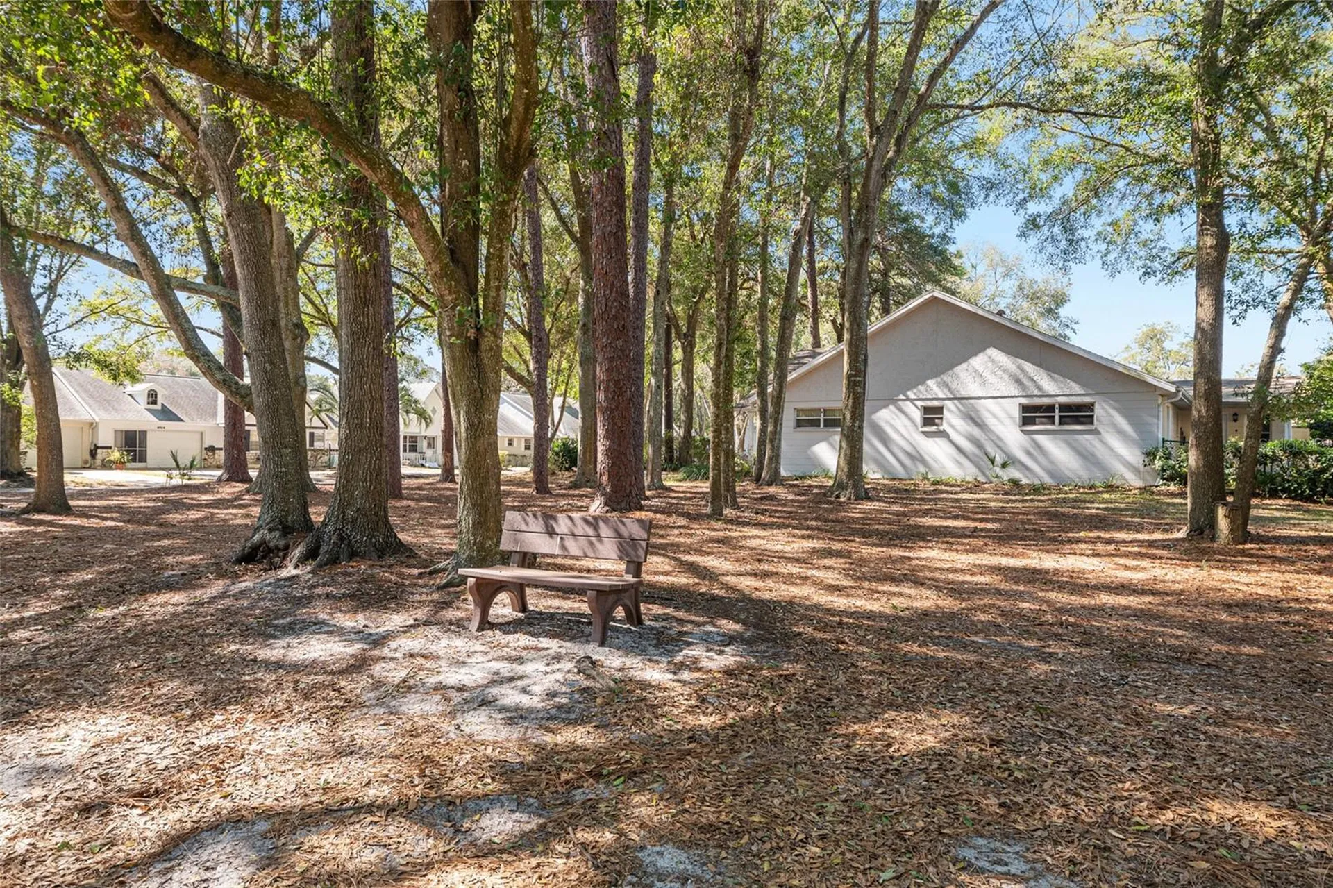 8711 SW 92nd Place Ocala FL 34481