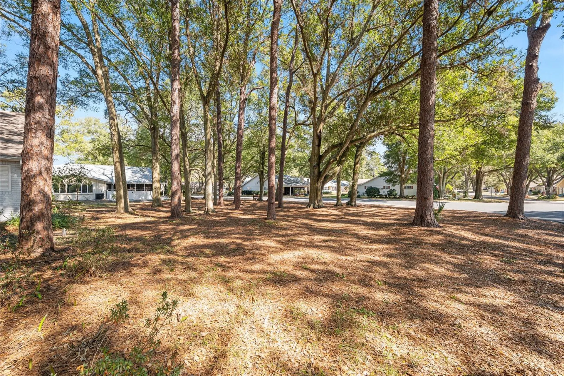 8711 SW 92nd Place Ocala FL 34481