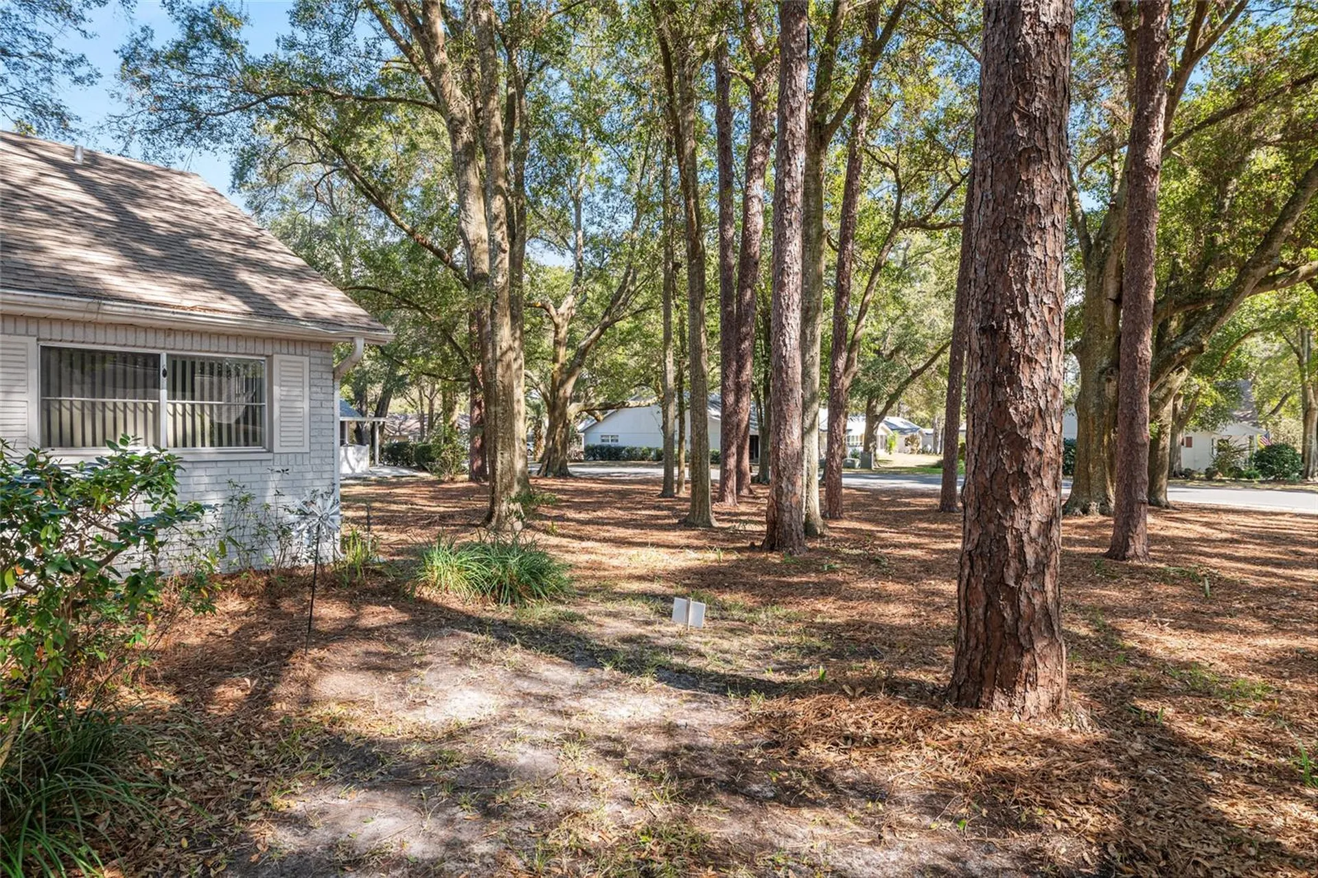 8711 SW 92nd Place Ocala FL 34481