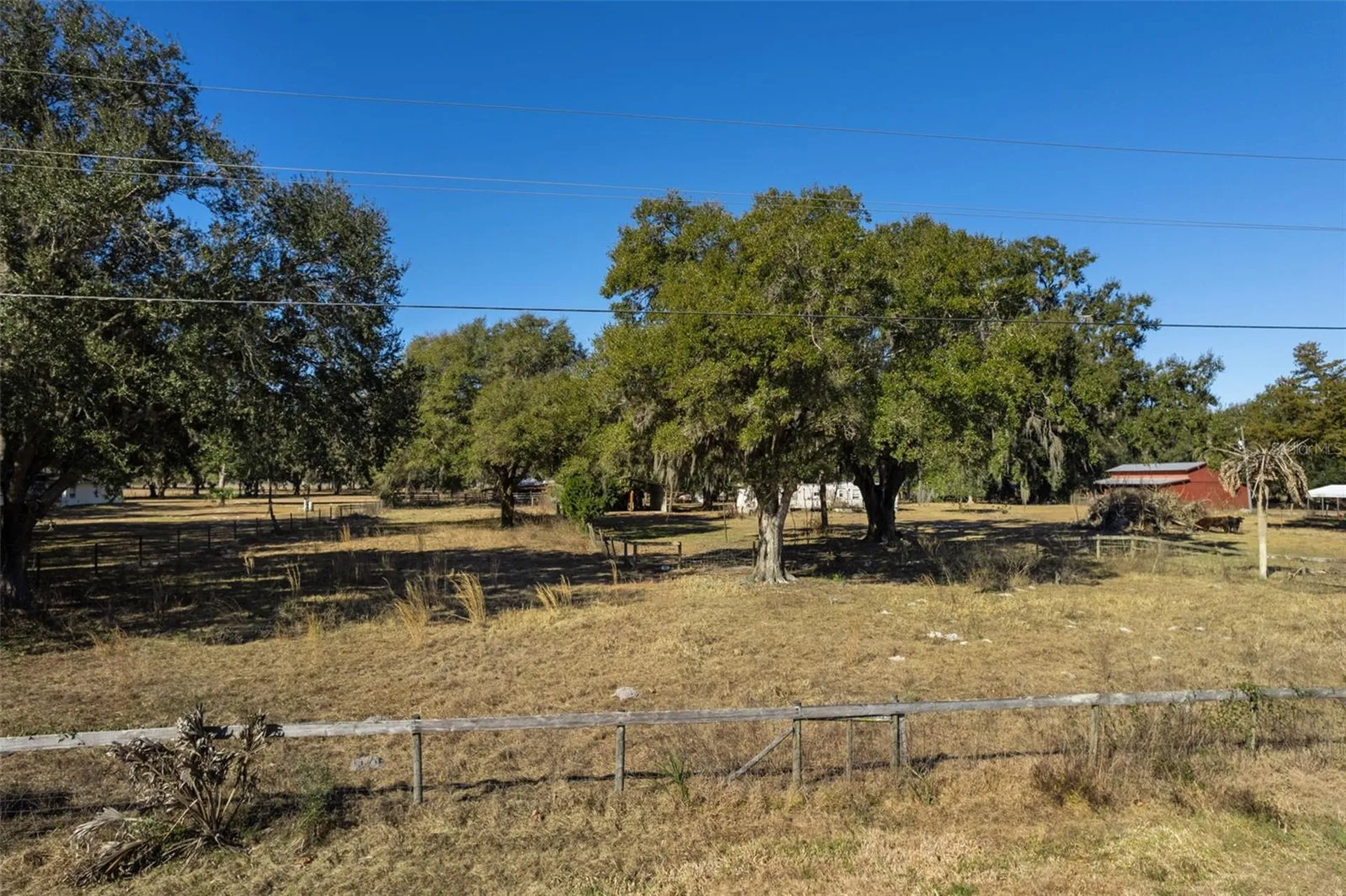 3936 Cr 311 Bushnell FL 33513