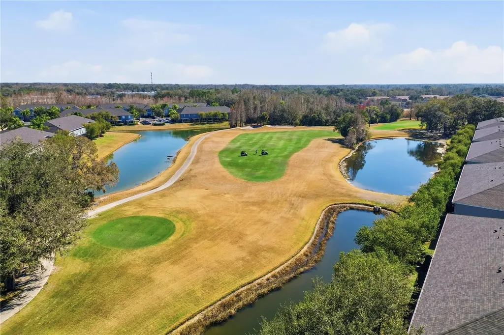 18133 Paradise Point Drive Tampa FL 33647