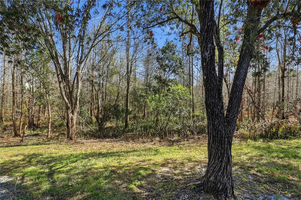 18133 Paradise Point Drive Tampa FL 33647