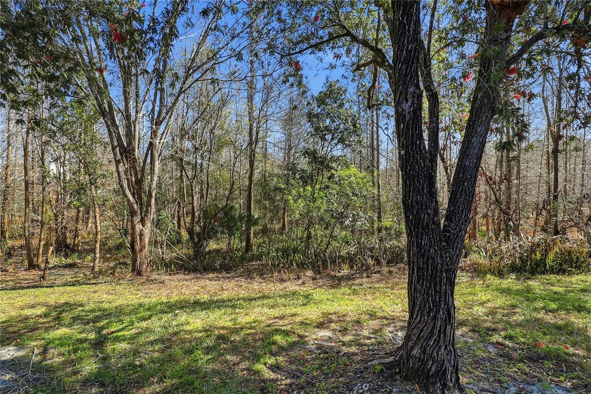 18133 Paradise Point Drive Tampa FL 33647