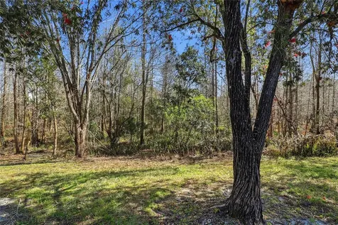 18133 Paradise Point Drive Tampa FL 33647