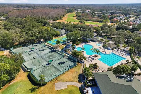 18133 Paradise Point Drive Tampa FL 33647