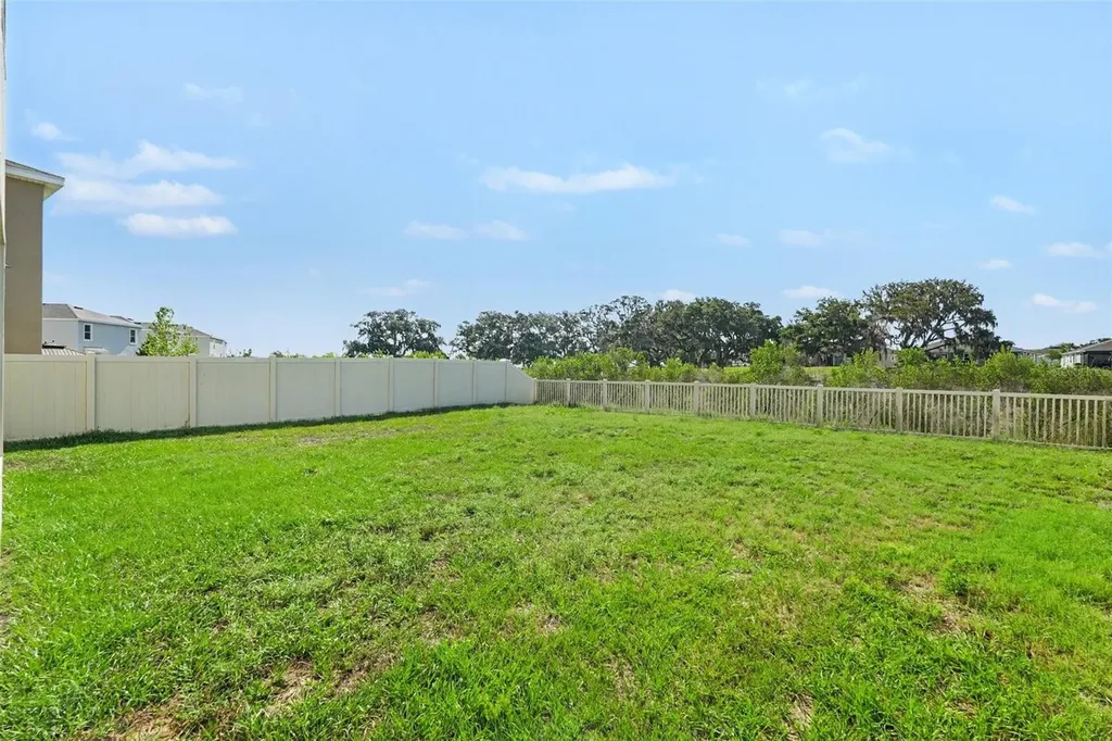 10767 Penny Gale Loop San Antonio FL 33576