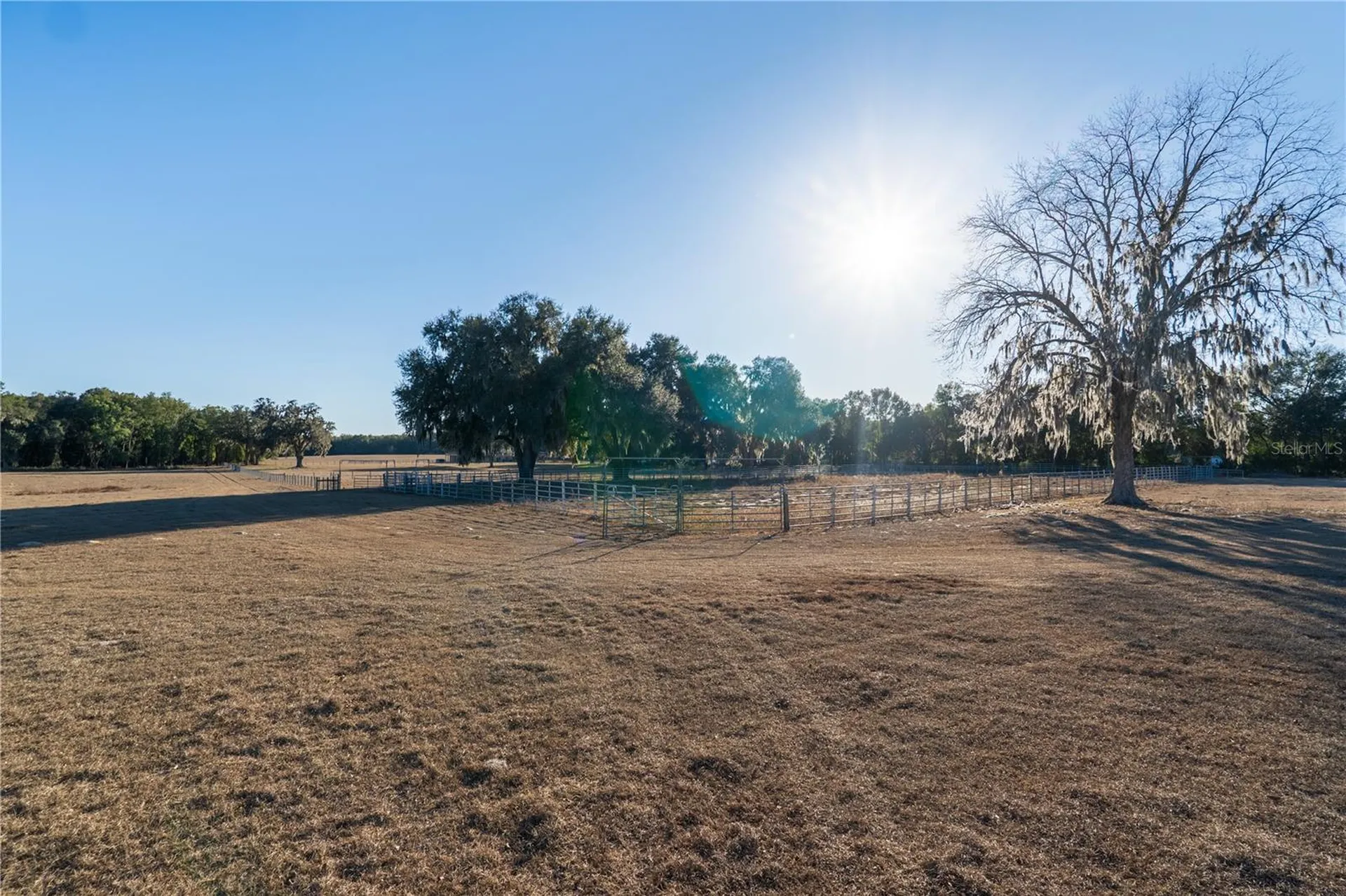 2051 SE 155th Street Summerfield FL 34491