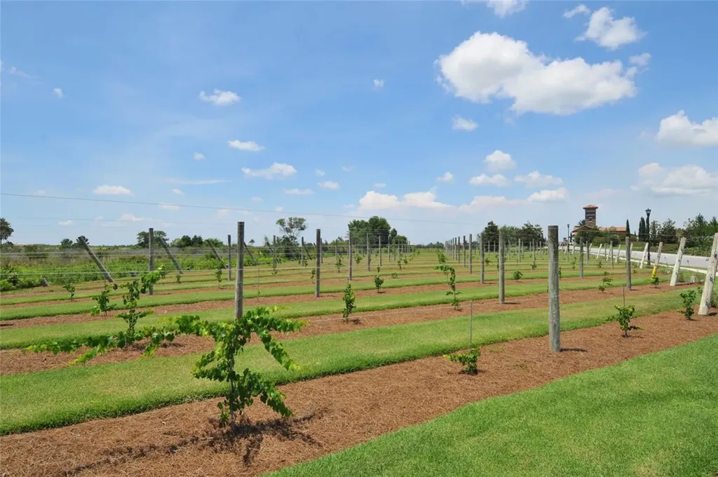 8249 Pavia Way Lakewood Ranch FL 34202