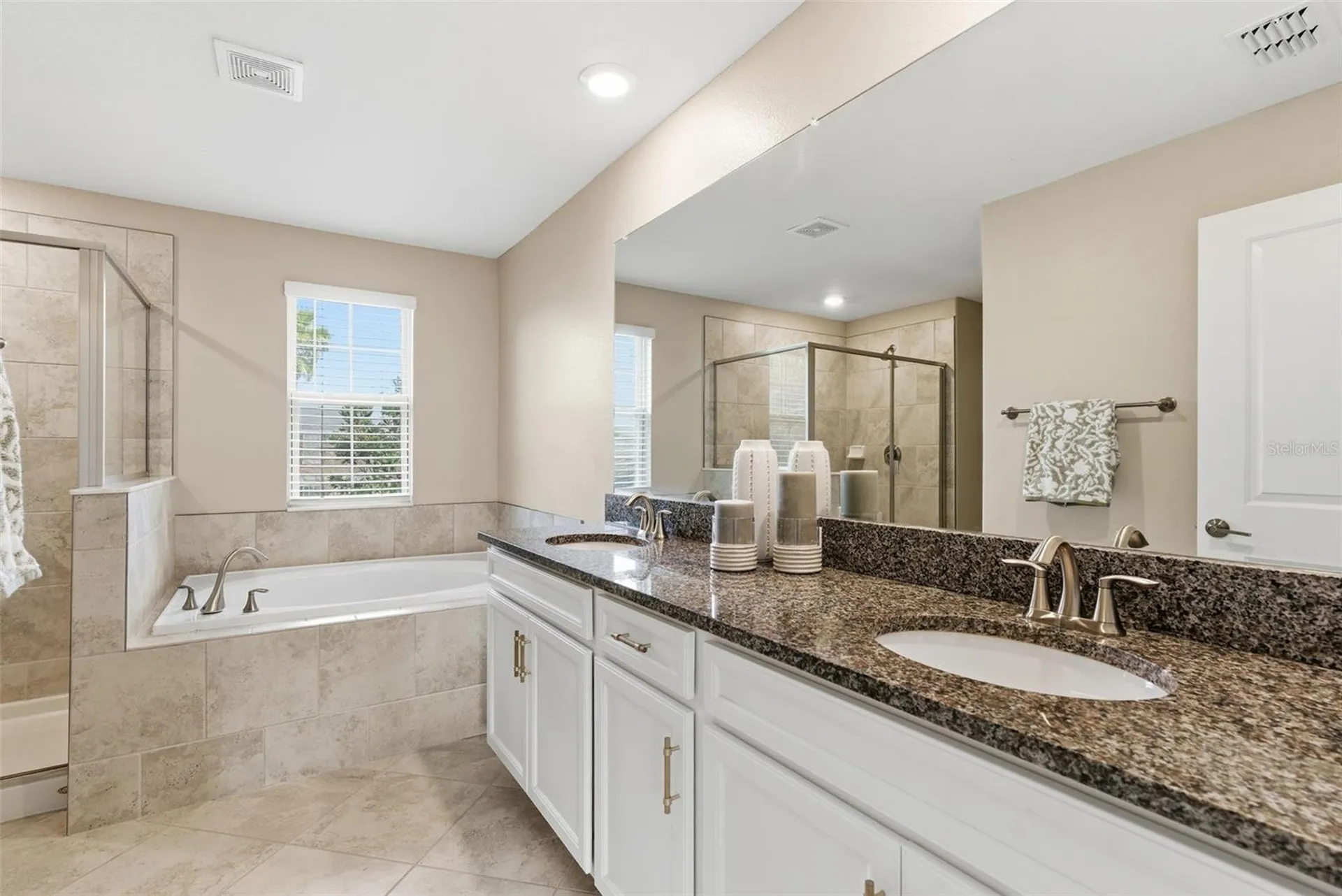 8553 Savory Walk Drive Land O Lakes FL 34637