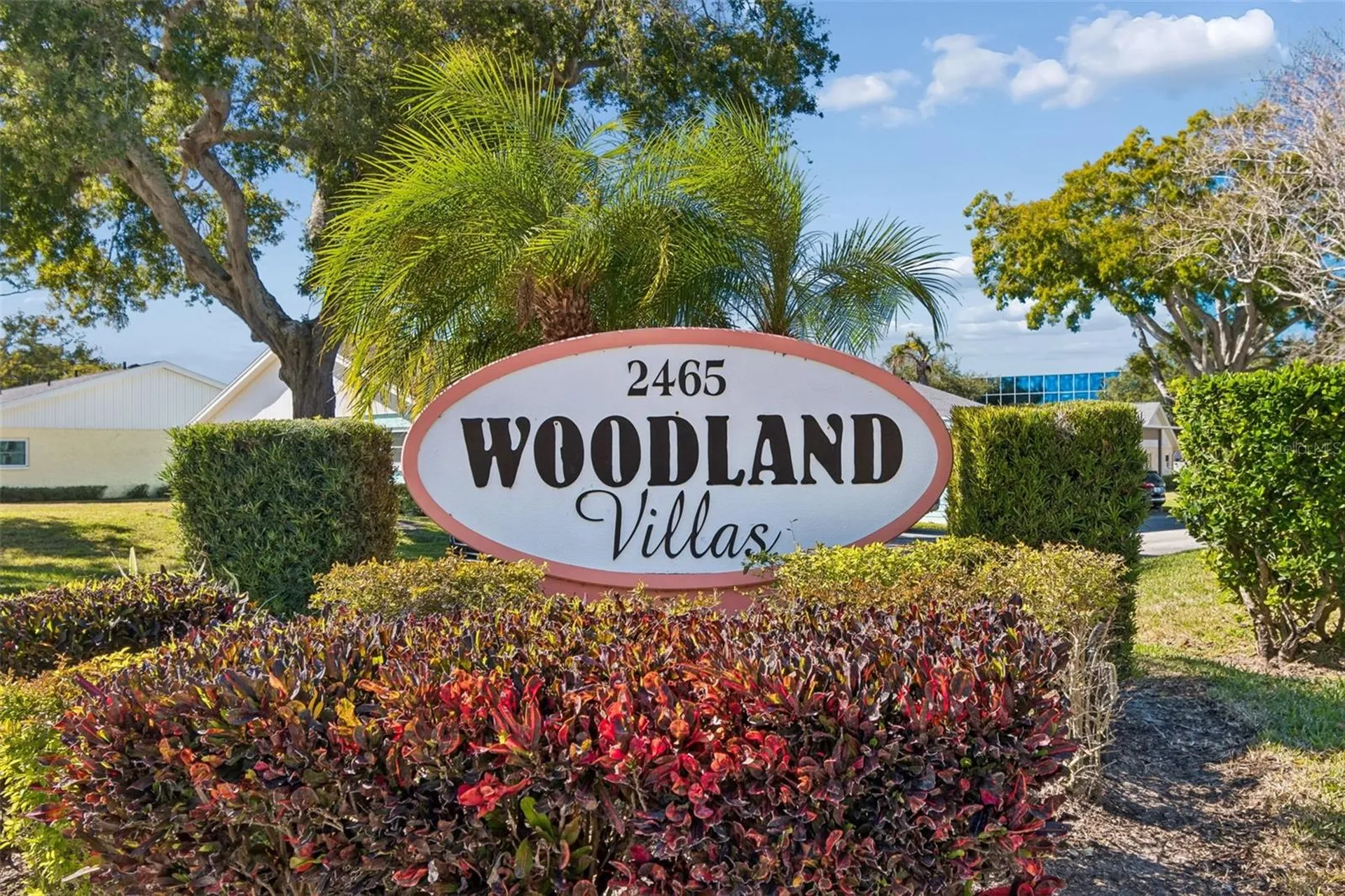 2465 Northside Drive Clearwater FL 33761