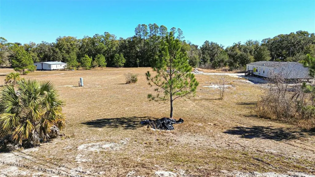 165 SE 122nd Avenue Old Town FL 32680