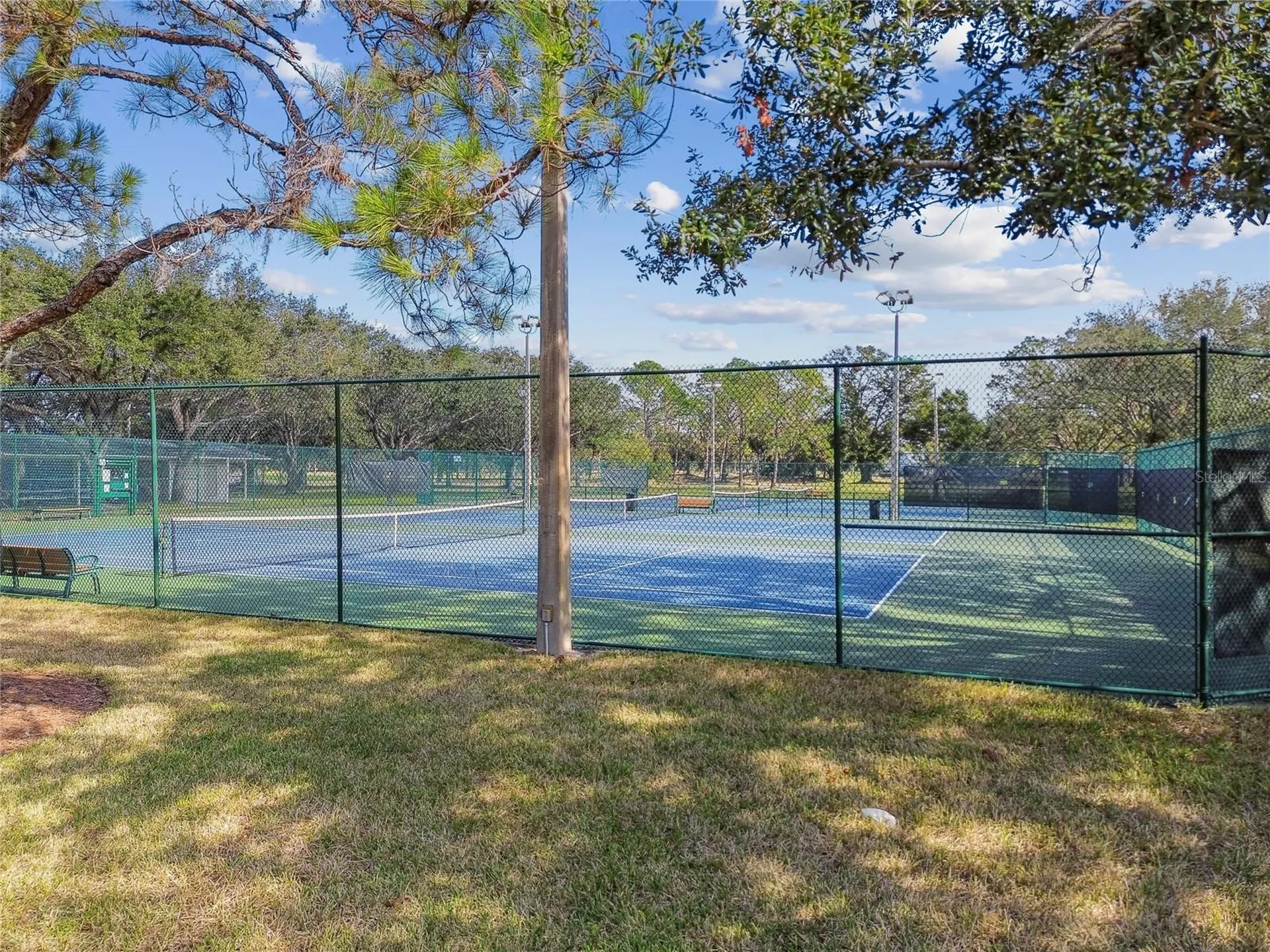 11903 Steppingstone Boulevard Tampa FL 33635