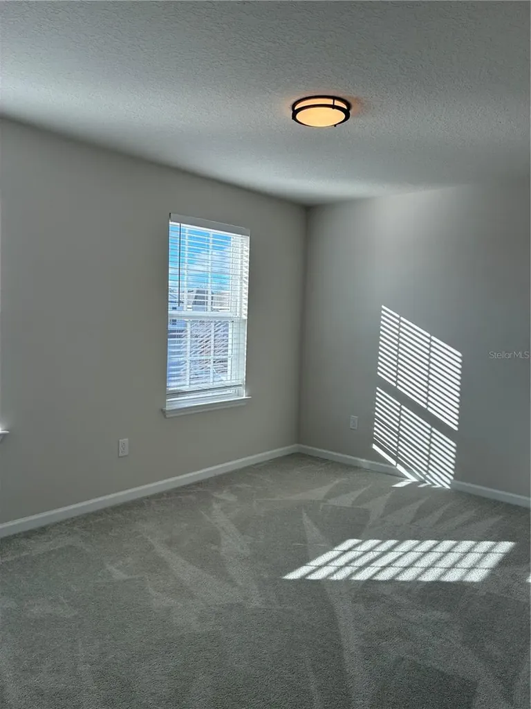 10928 Osprey Glade Terrace Land O Lakes FL 34638
