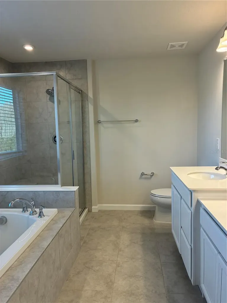 10928 Osprey Glade Terrace Land O Lakes FL 34638