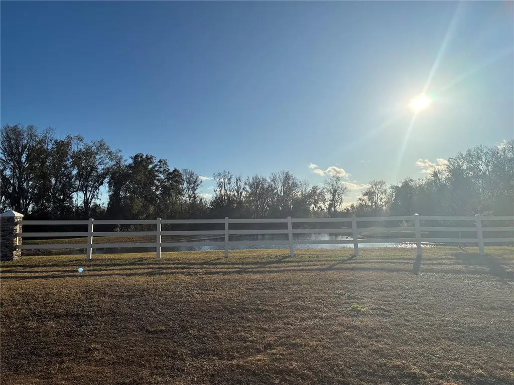 10928 Osprey Glade Terrace Land O Lakes FL 34638
