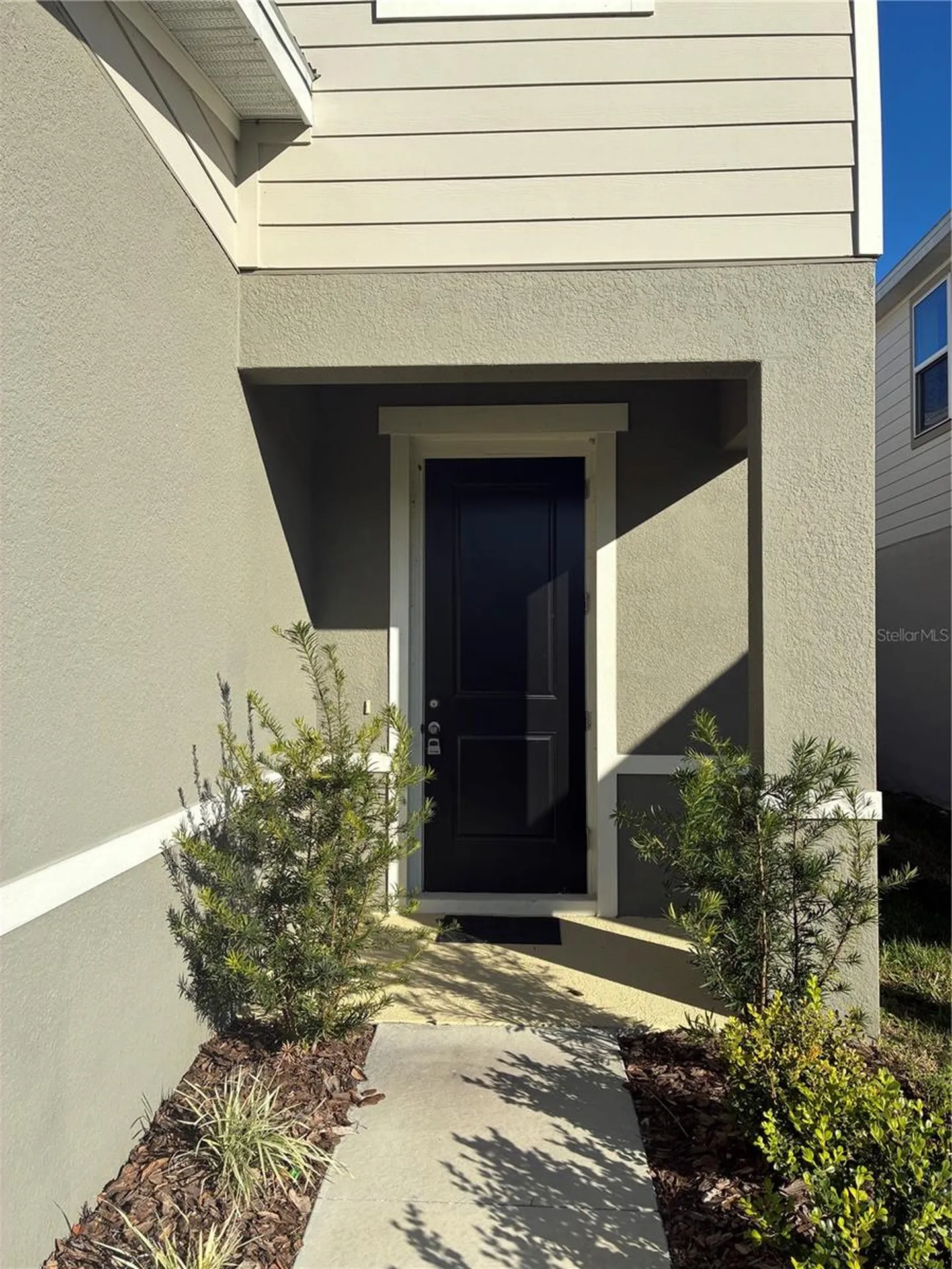 10928 Osprey Glade Terrace Land O Lakes FL 34638