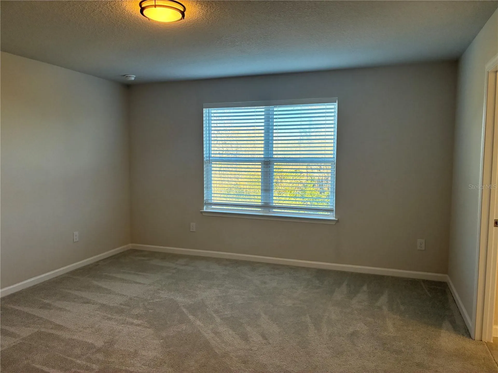 10928 Osprey Glade Terrace Land O Lakes FL 34638