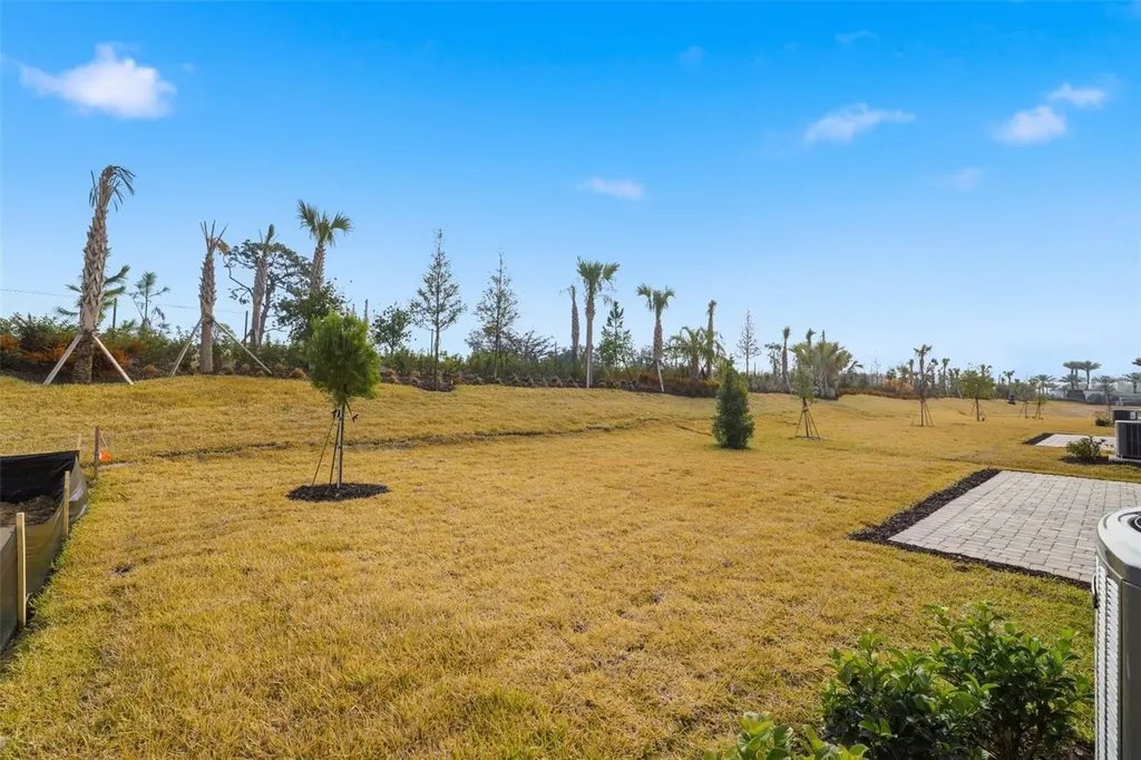 32616 Neroli Street Wesley Chapel FL 33543