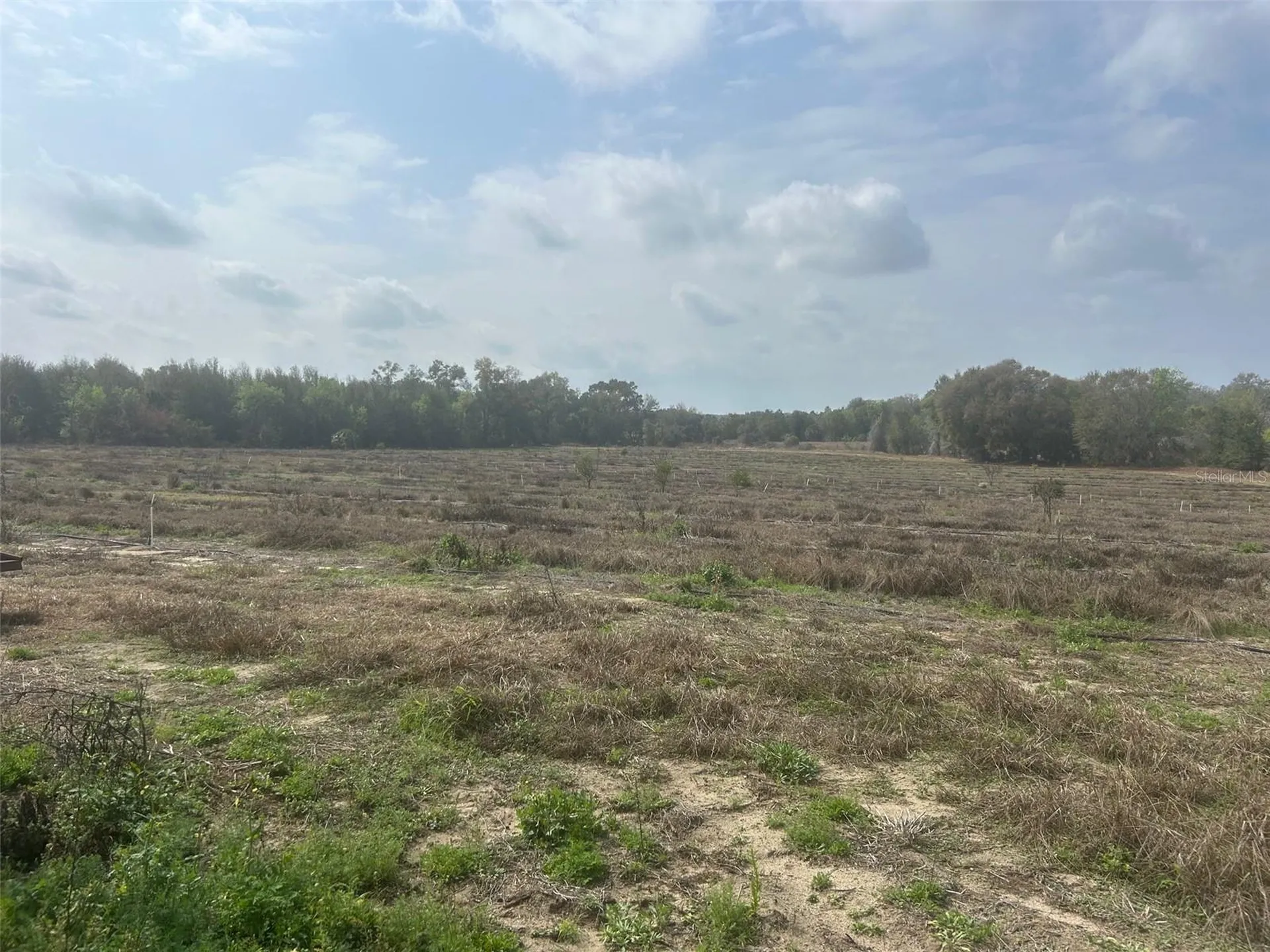 Number Two Road Leesburg FL 34748