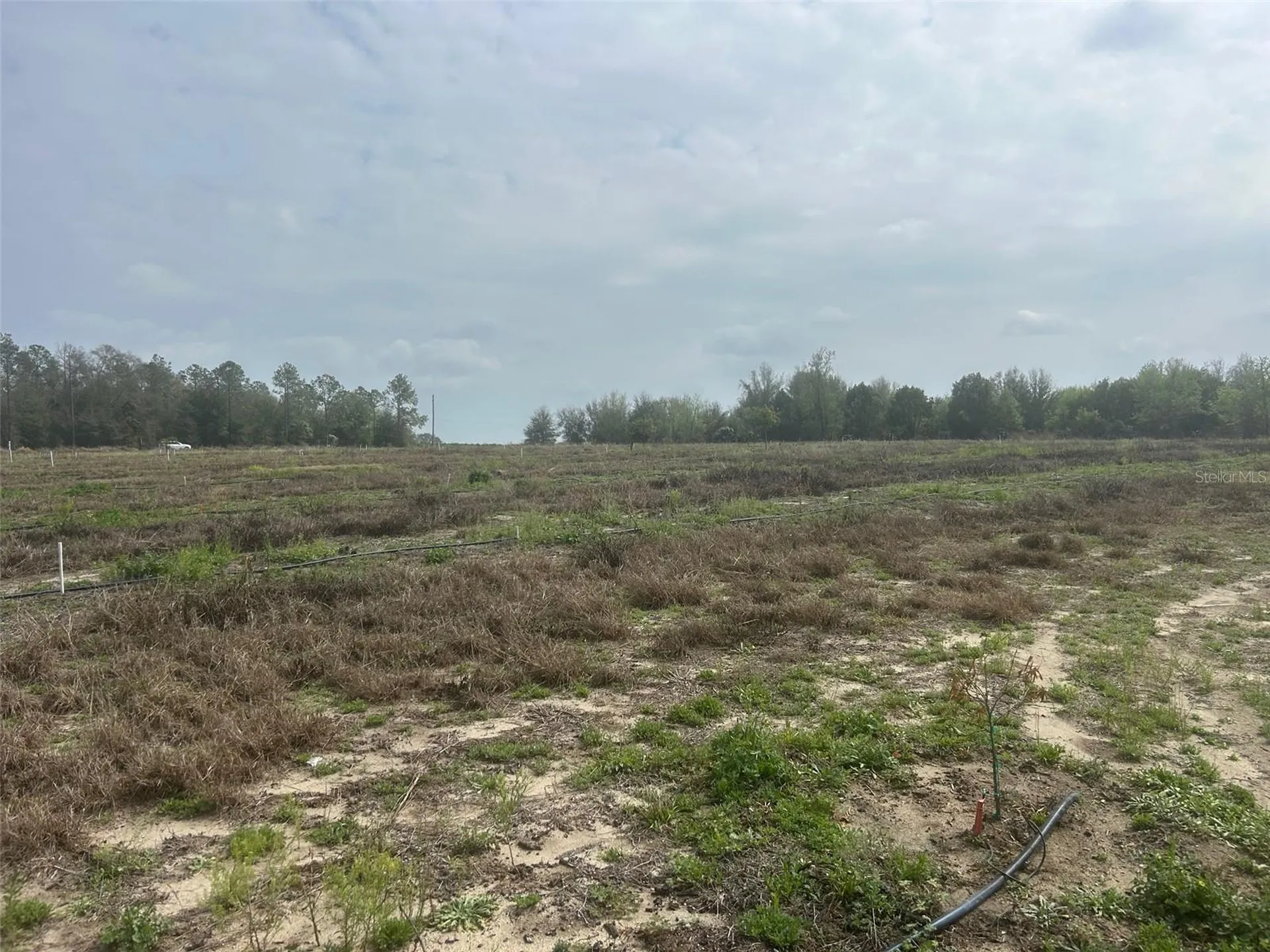 Number Two Road Leesburg FL 34748