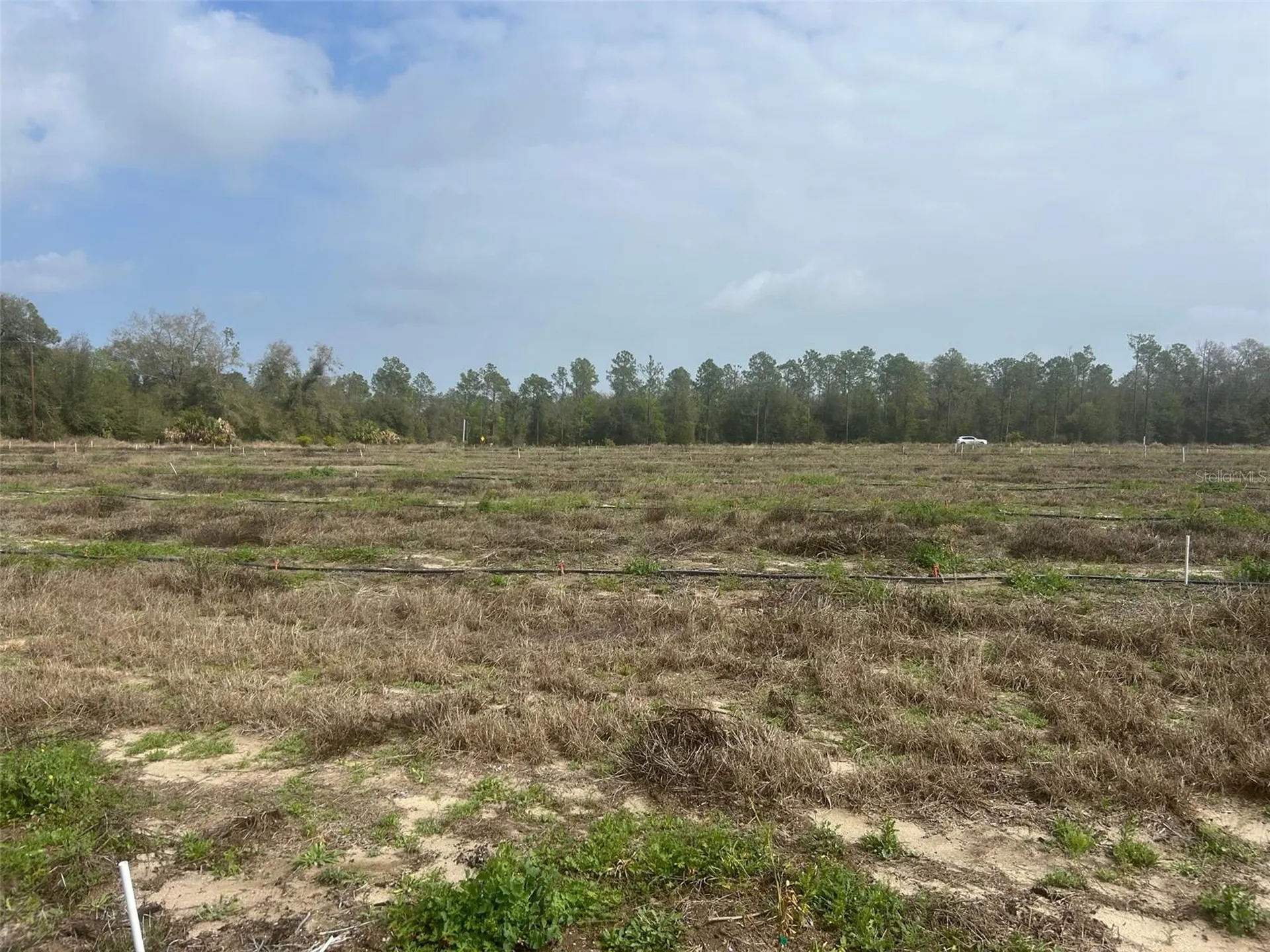 Number Two Road Leesburg FL 34748
