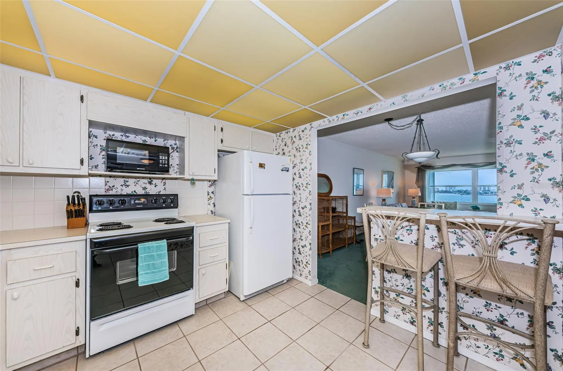 4525 Cove Circle St Petersburg FL 33708