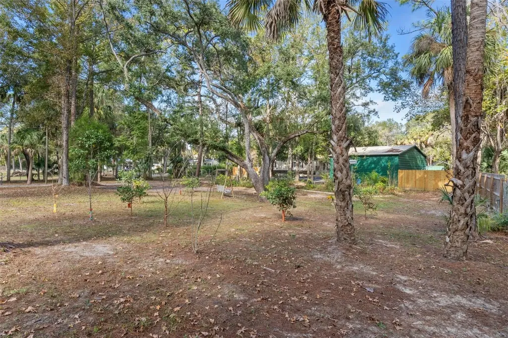 193 Gladys Avenue Inglis FL 34449