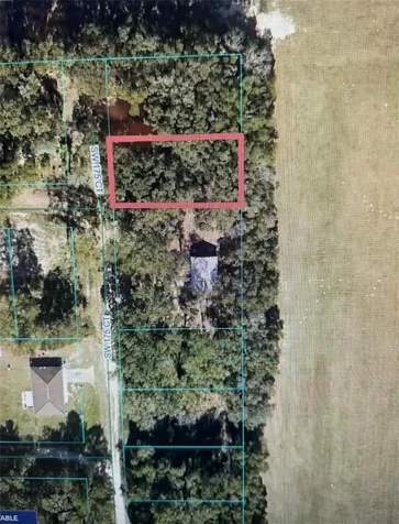 00 SW 175th Court Dunnellon FL 34432
