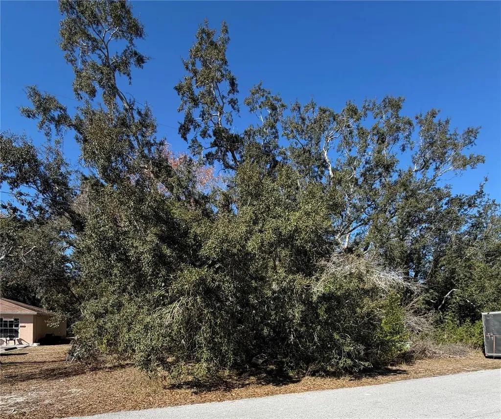 1241 Sylvia Avenue Spring Hill FL 34606