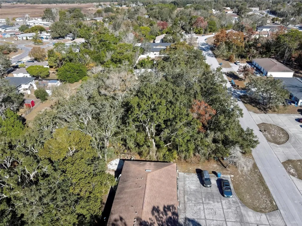 1241 Sylvia Avenue Spring Hill FL 34606