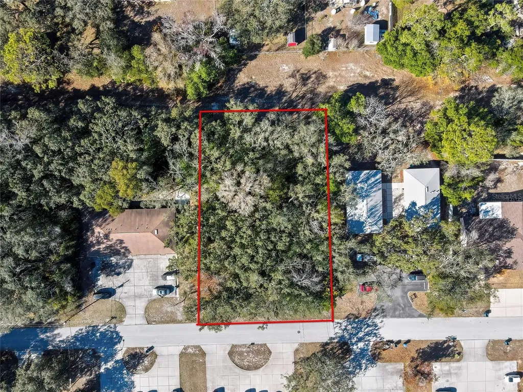 1241 Sylvia Avenue Spring Hill FL 34606