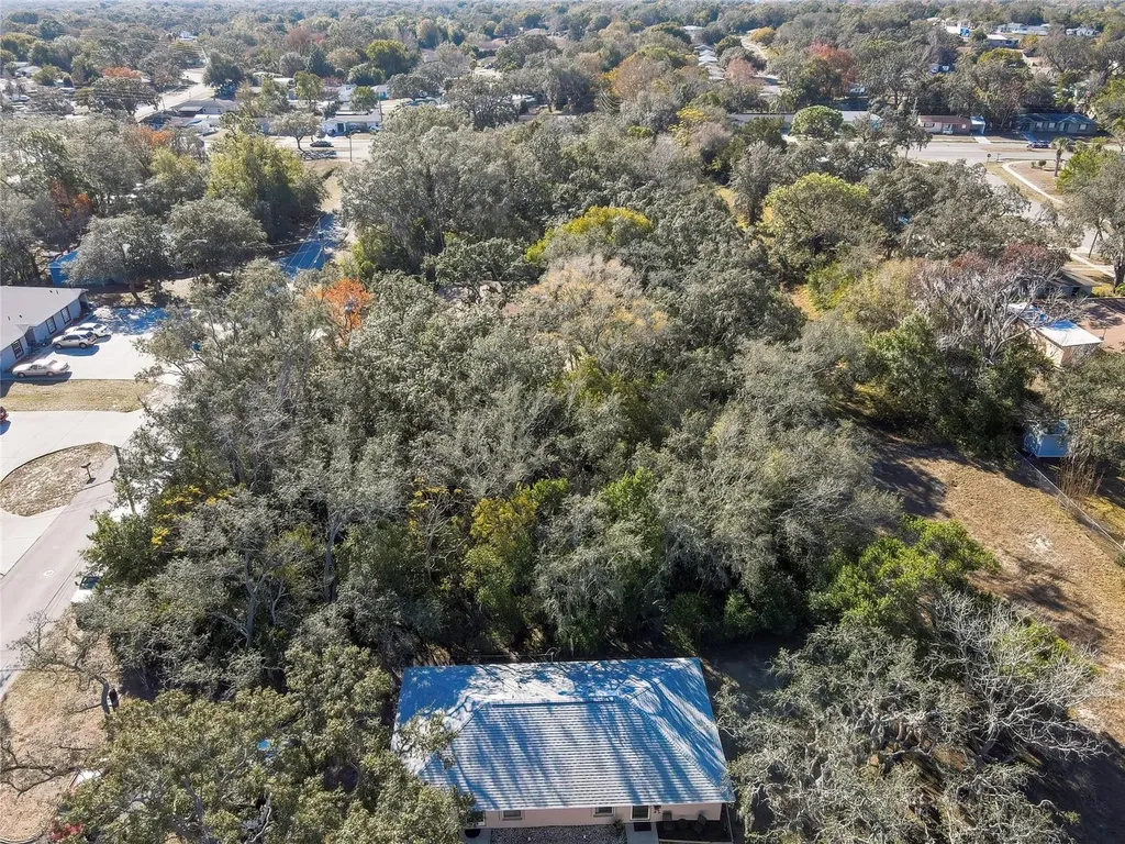 1241 Sylvia Avenue Spring Hill FL 34606