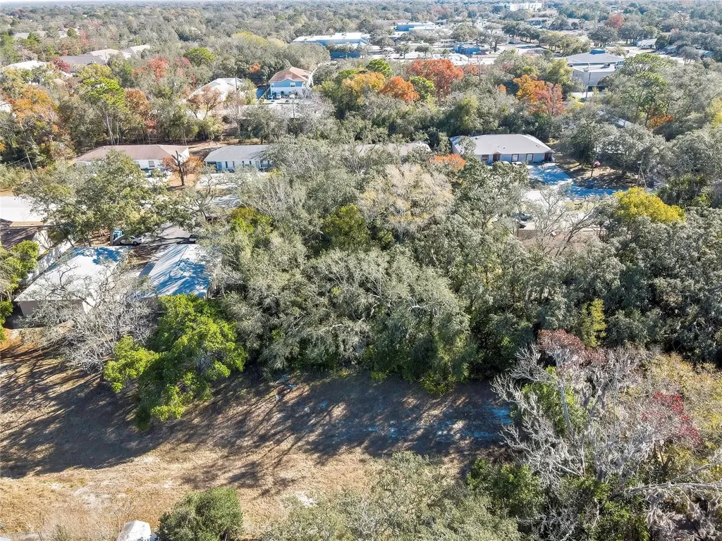 1241 Sylvia Avenue Spring Hill FL 34606