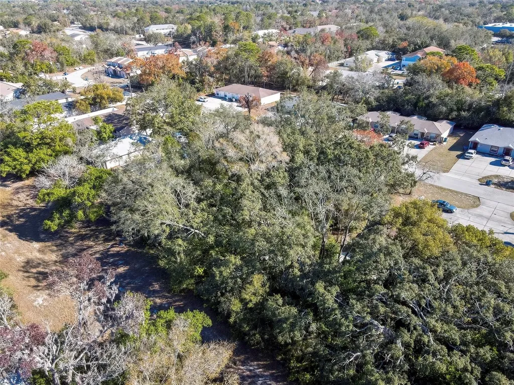 1241 Sylvia Avenue Spring Hill FL 34606