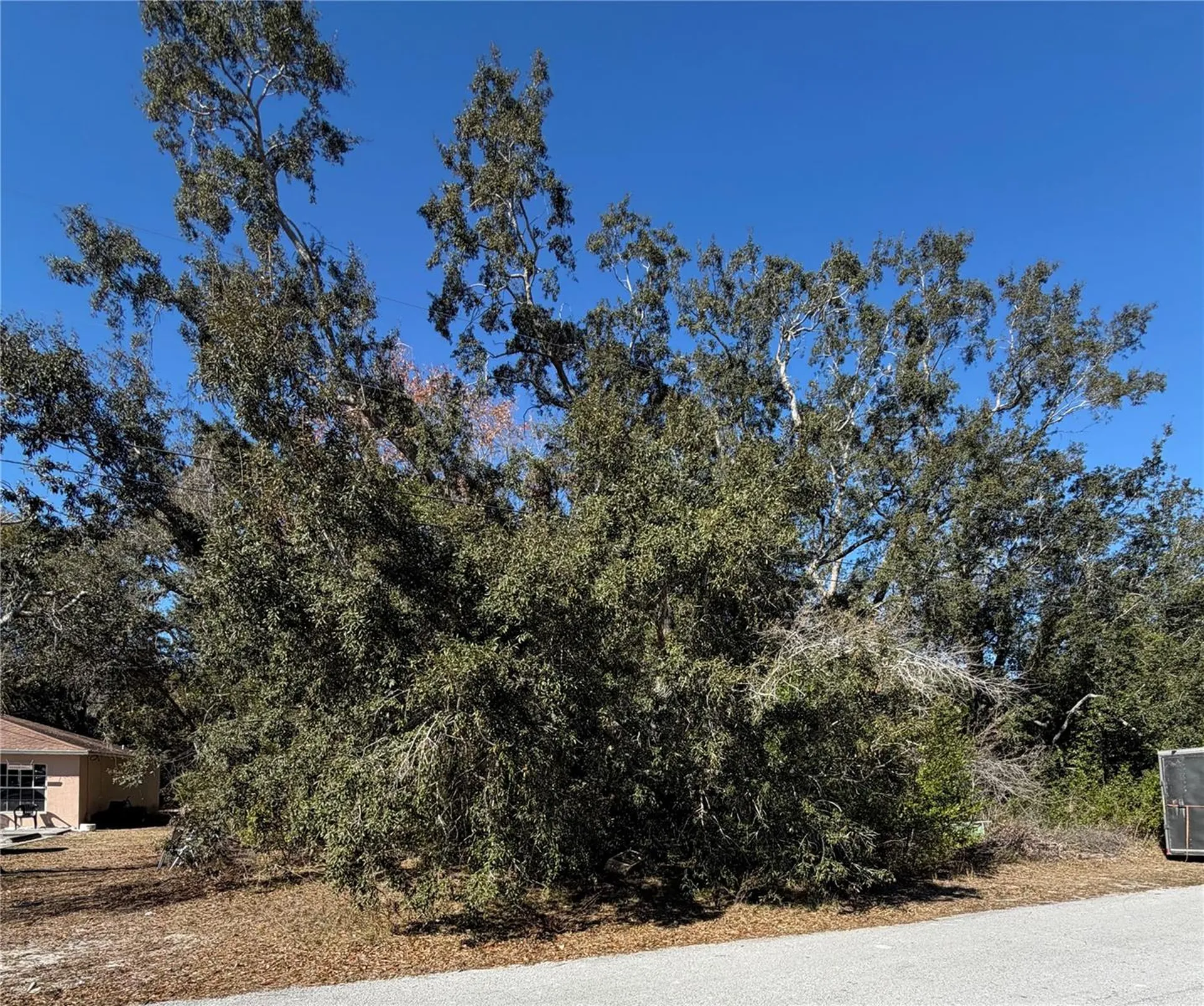 1241 Sylvia Avenue Spring Hill FL 34606