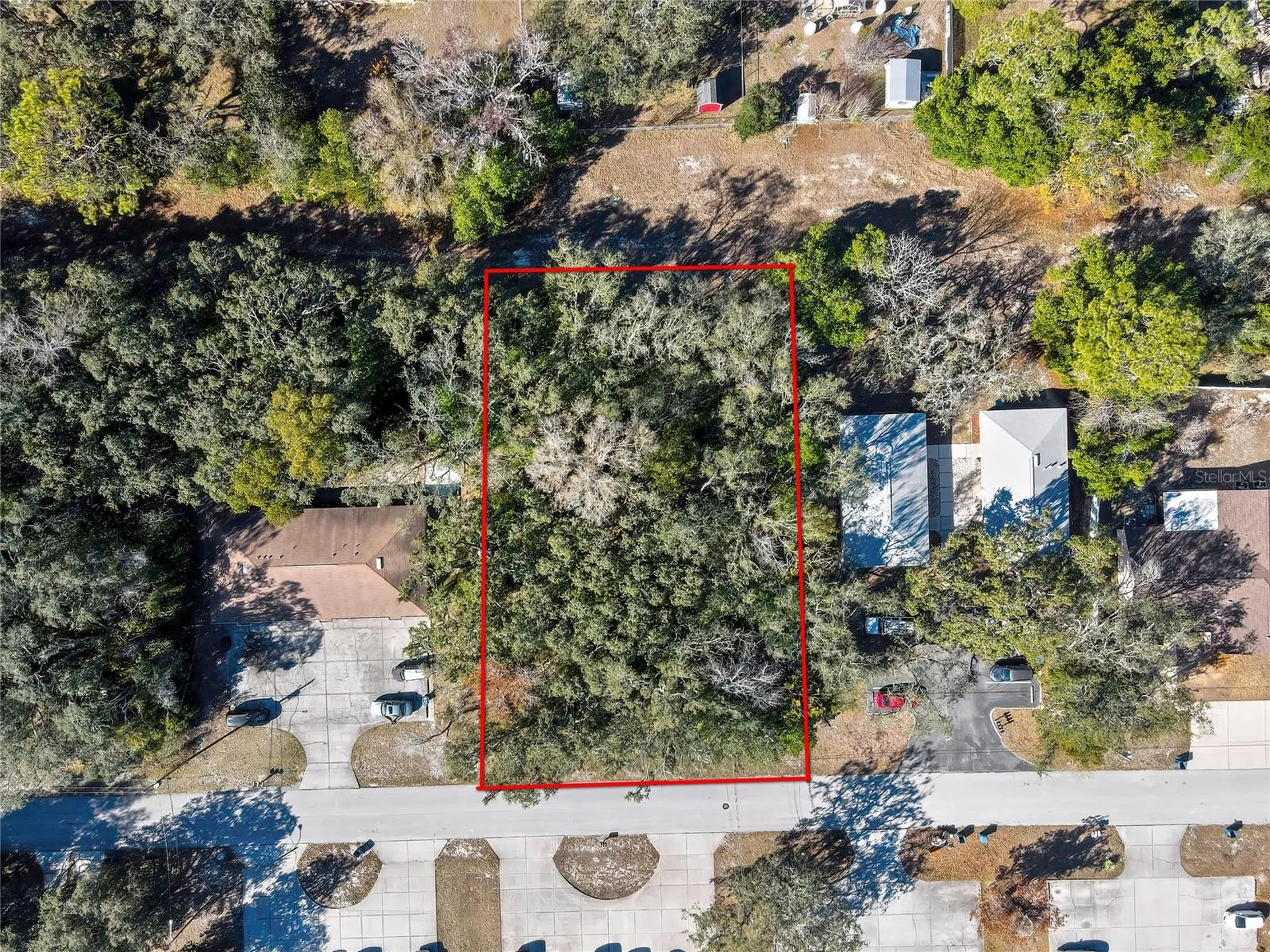 1241 Sylvia Avenue Spring Hill FL 34606