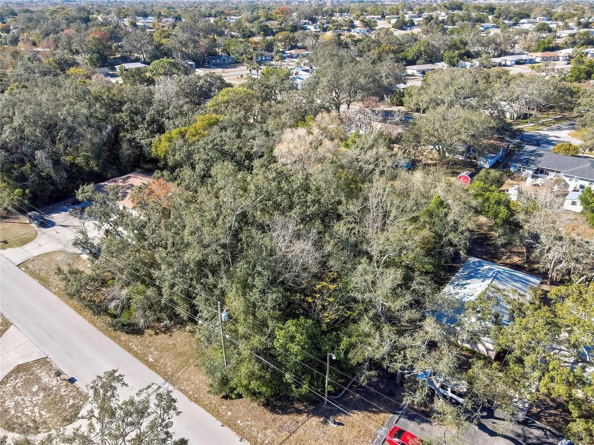 1241 Sylvia Avenue Spring Hill FL 34606