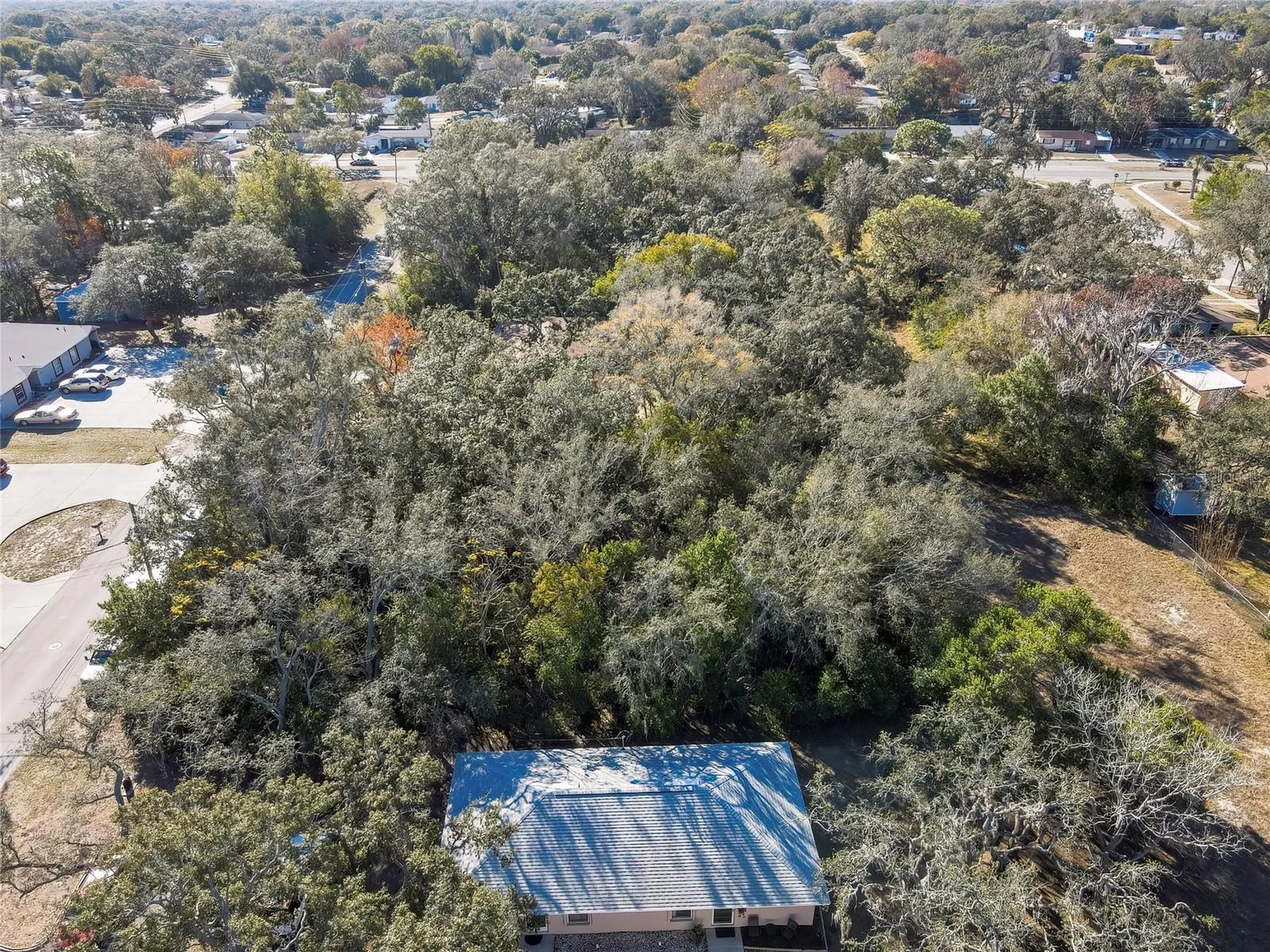 1241 Sylvia Avenue Spring Hill FL 34606