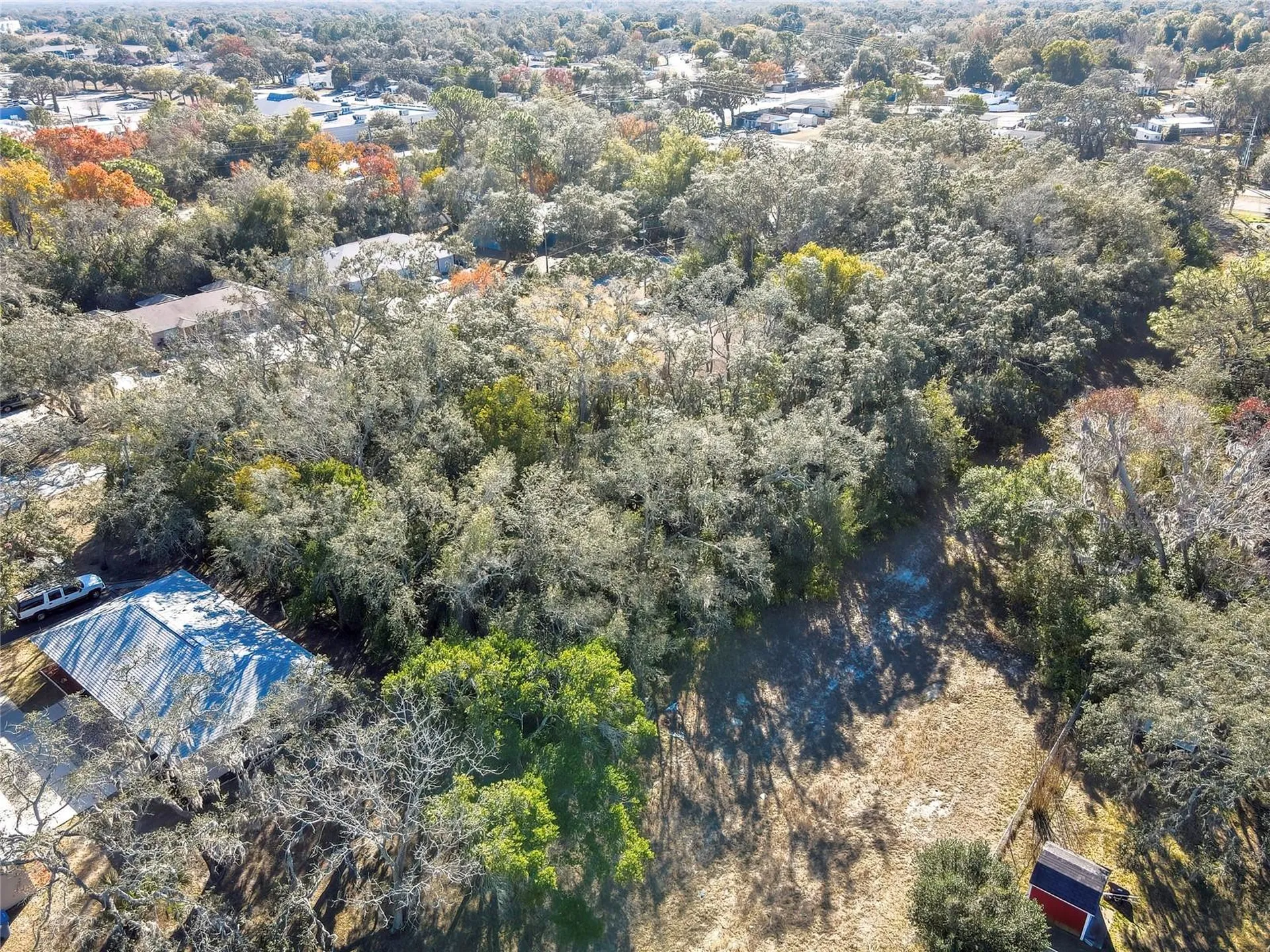 1241 Sylvia Avenue Spring Hill FL 34606