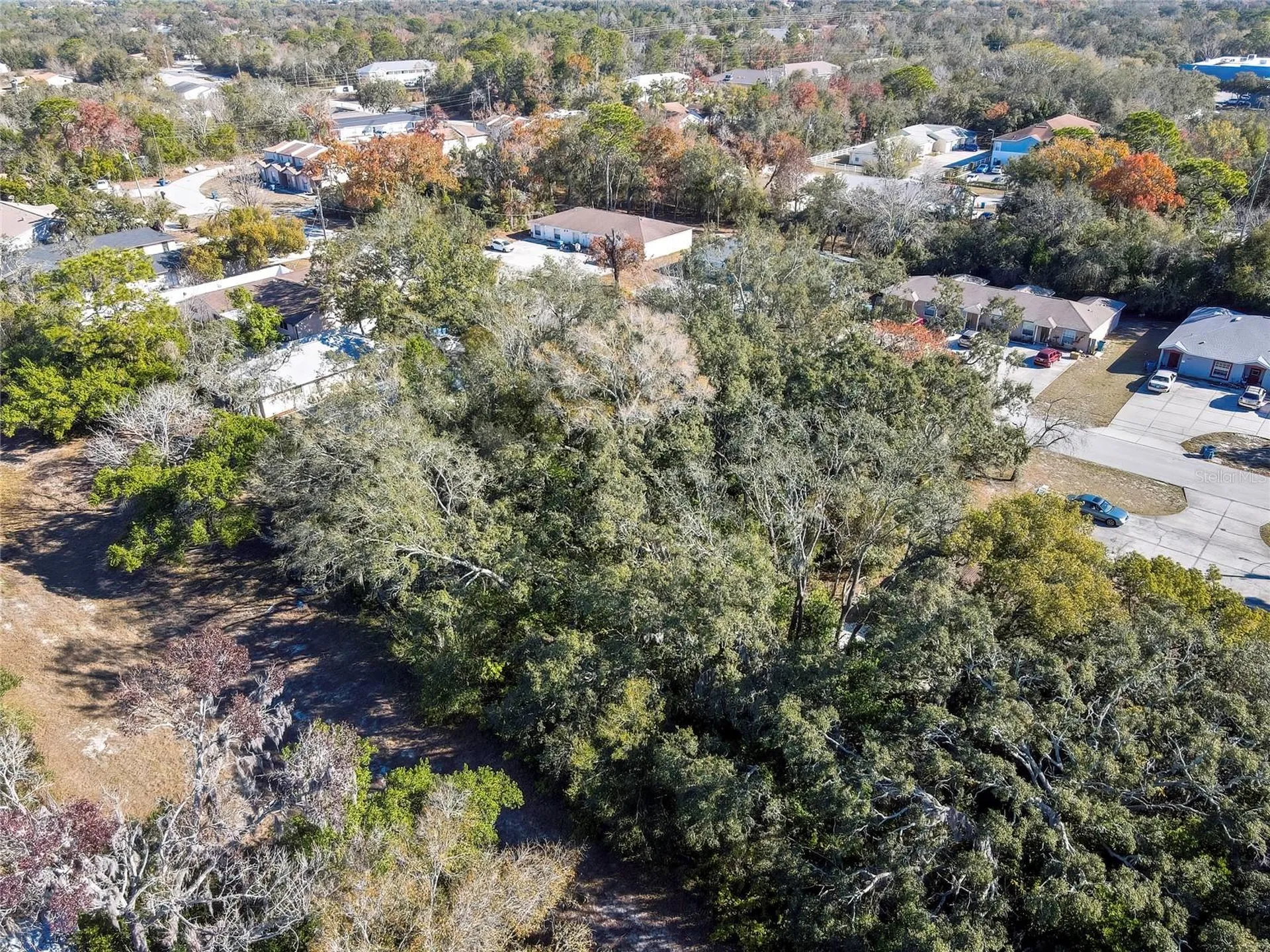 1241 Sylvia Avenue Spring Hill FL 34606